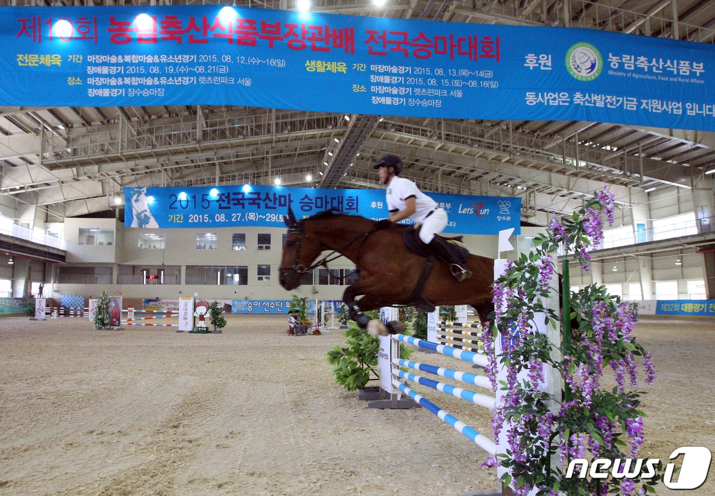 23일 장수군에 따르면 말산업 특구 지역인 군은 올해 1월부터 11월까지 전국체육대회 승마경기 등 총 11회의 승마대회를 개최했다.&#40;장수군 제공&#41;2023.11.23/뉴스1