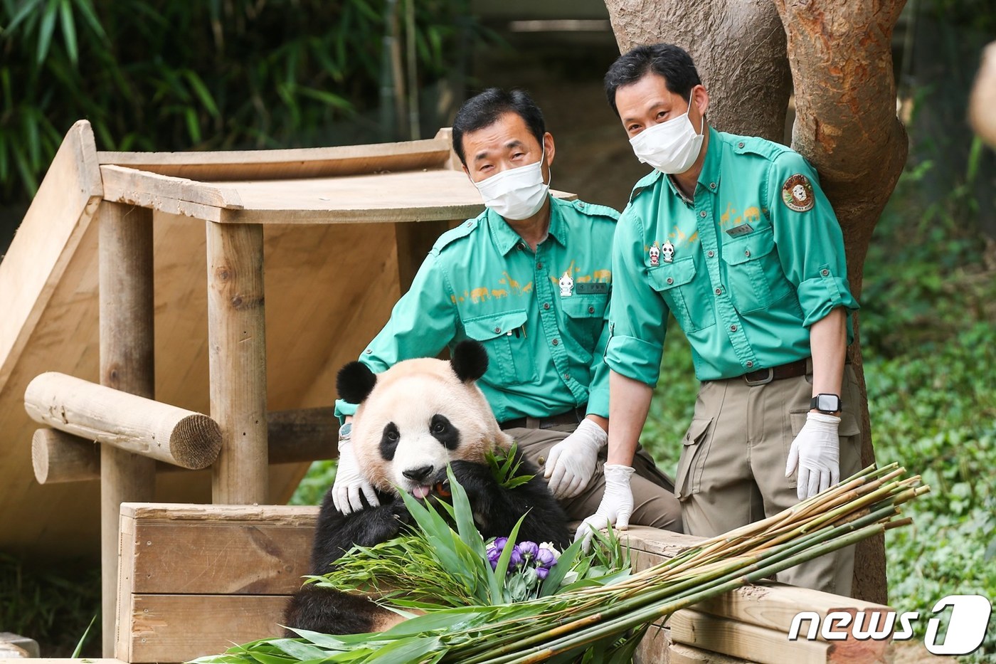 강철원 사육사(왼쪽), 송영관 사육사. (삼성물산 리조트 제공) 2023.11.28/뉴스1