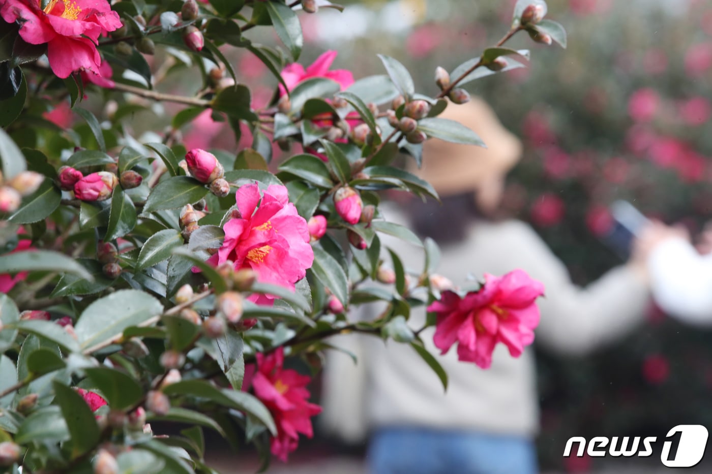 자료사진.ⓒ News1