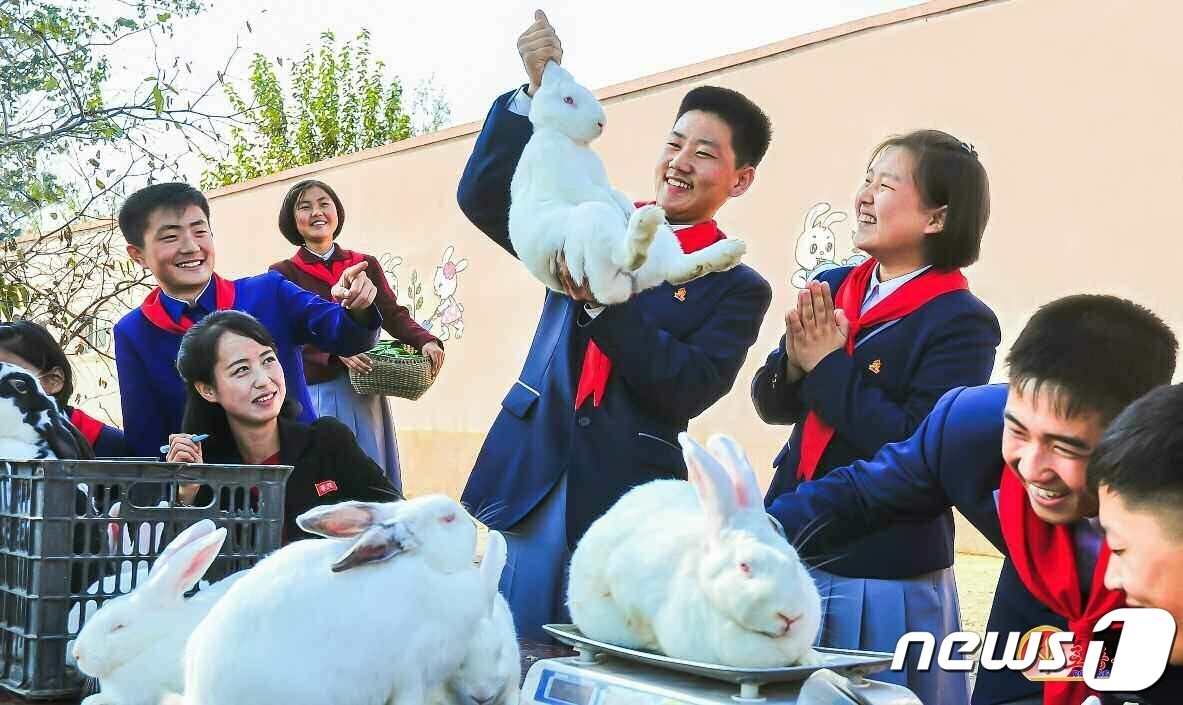 (평양 노동신문=뉴스1) = 북한 노동당 기관지 노동신문은 4일 '토끼 기르기를 전군중적 운동으로'라는 제목의 기사와 함께 토끼를 사육하고 있는 평양 삼흥중학교 학생들의 사진을 실었다. [국내에서만 사용가능. 재배포 금지. DB 금지. For Use Only in the Republic of Korea. Redistribution Prohibited] rodongphoto@news1.kr