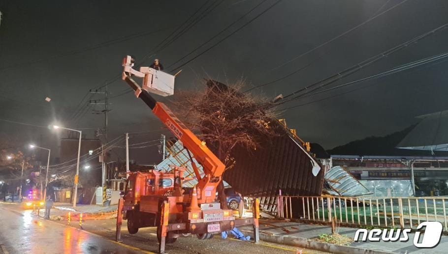 강풍에 쓰러진 나무.(경기도소방재난본부 제)