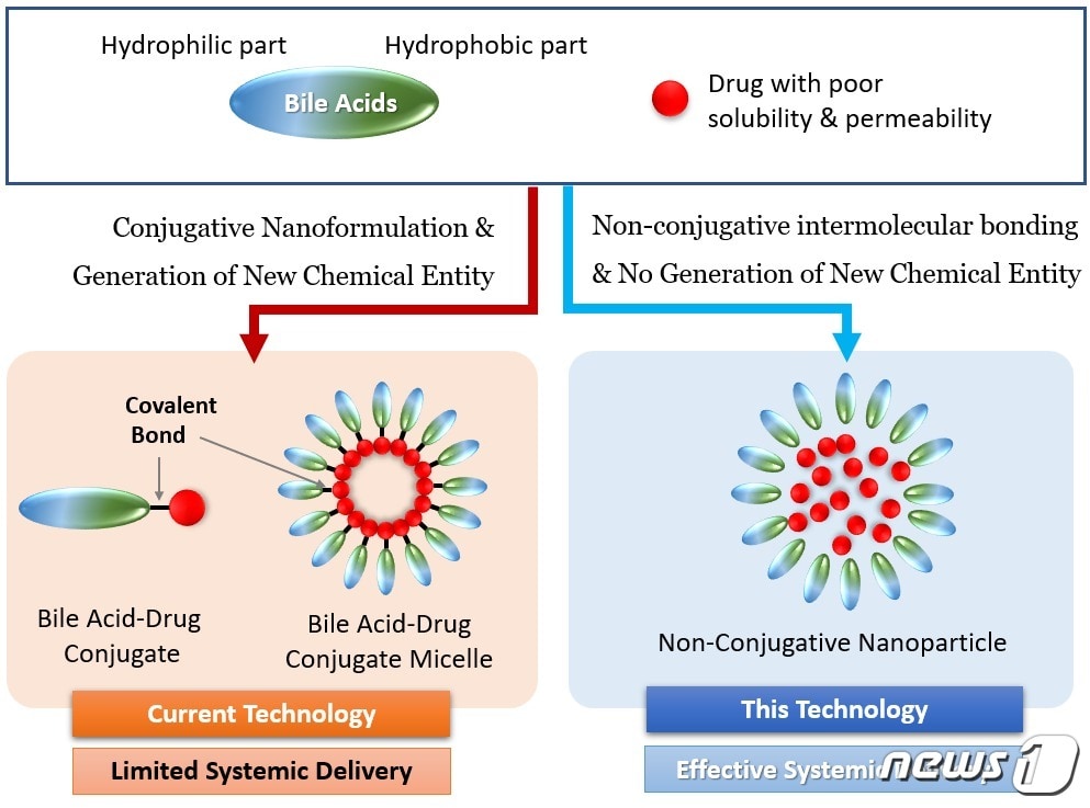 연구성과 요약 모식도.(KBSI 제공)/뉴스1
