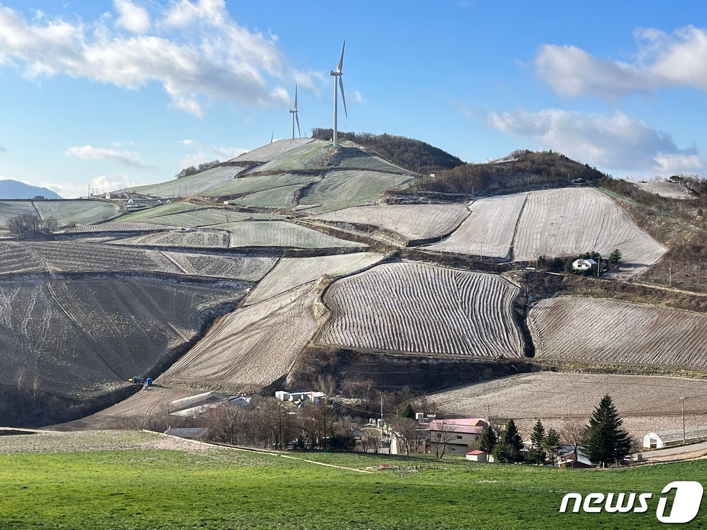 강릉 안반데기에 내려앉은 눈.(뉴스1 DB) ⓒ News1 윤왕근 기자