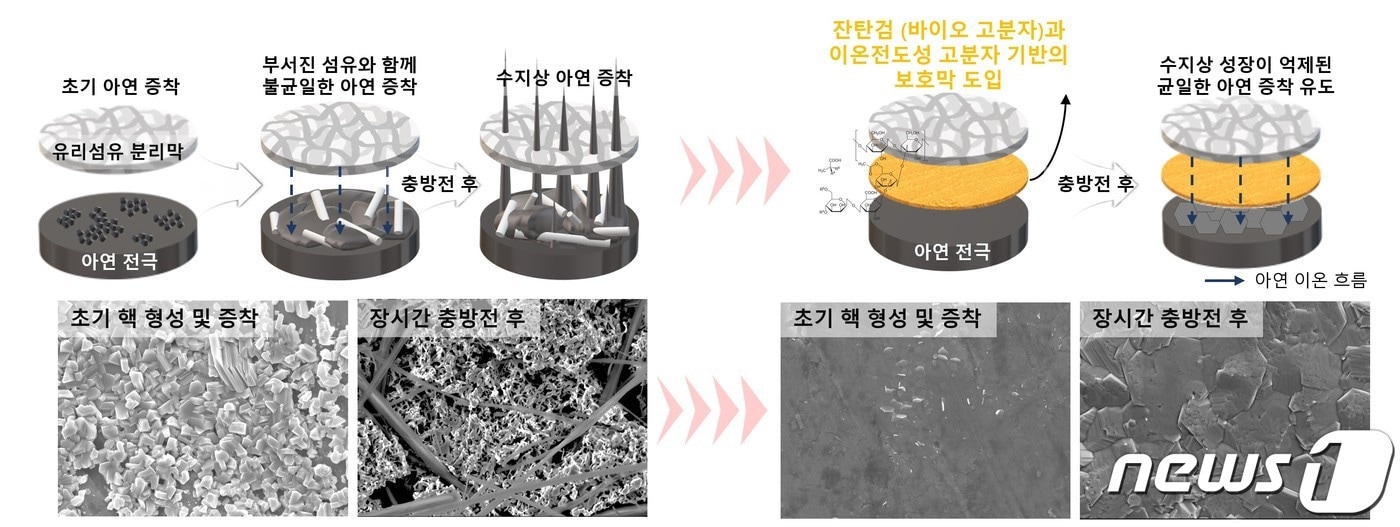 배터리 전극의 내구성을 높여줄 보호막 모습.(포스텍제공)2023.11.7/뉴스1