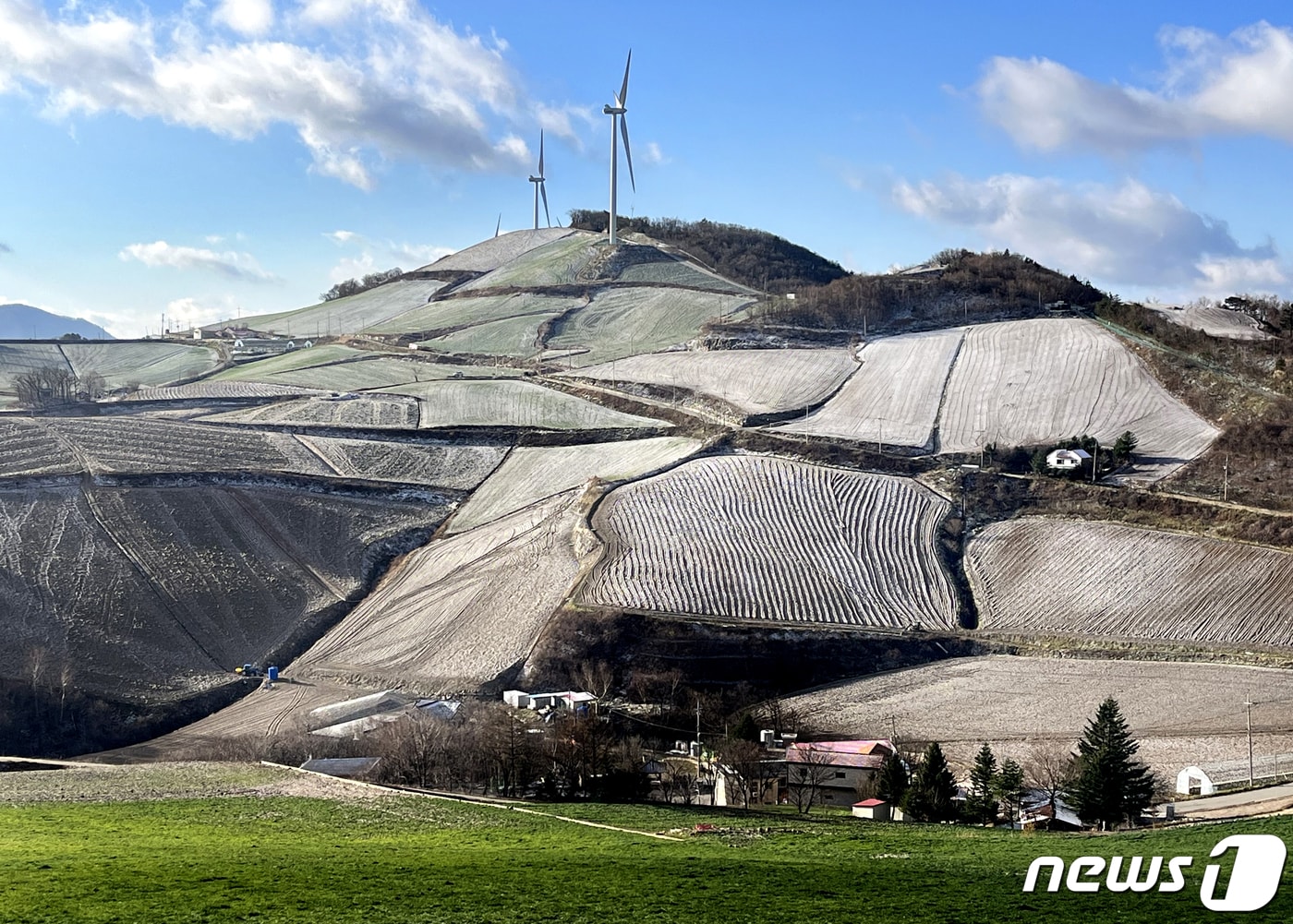 서리 내려 앉은 강원 강릉 안반데기.(뉴스1 DB)ⓒ News1 윤왕근 기자