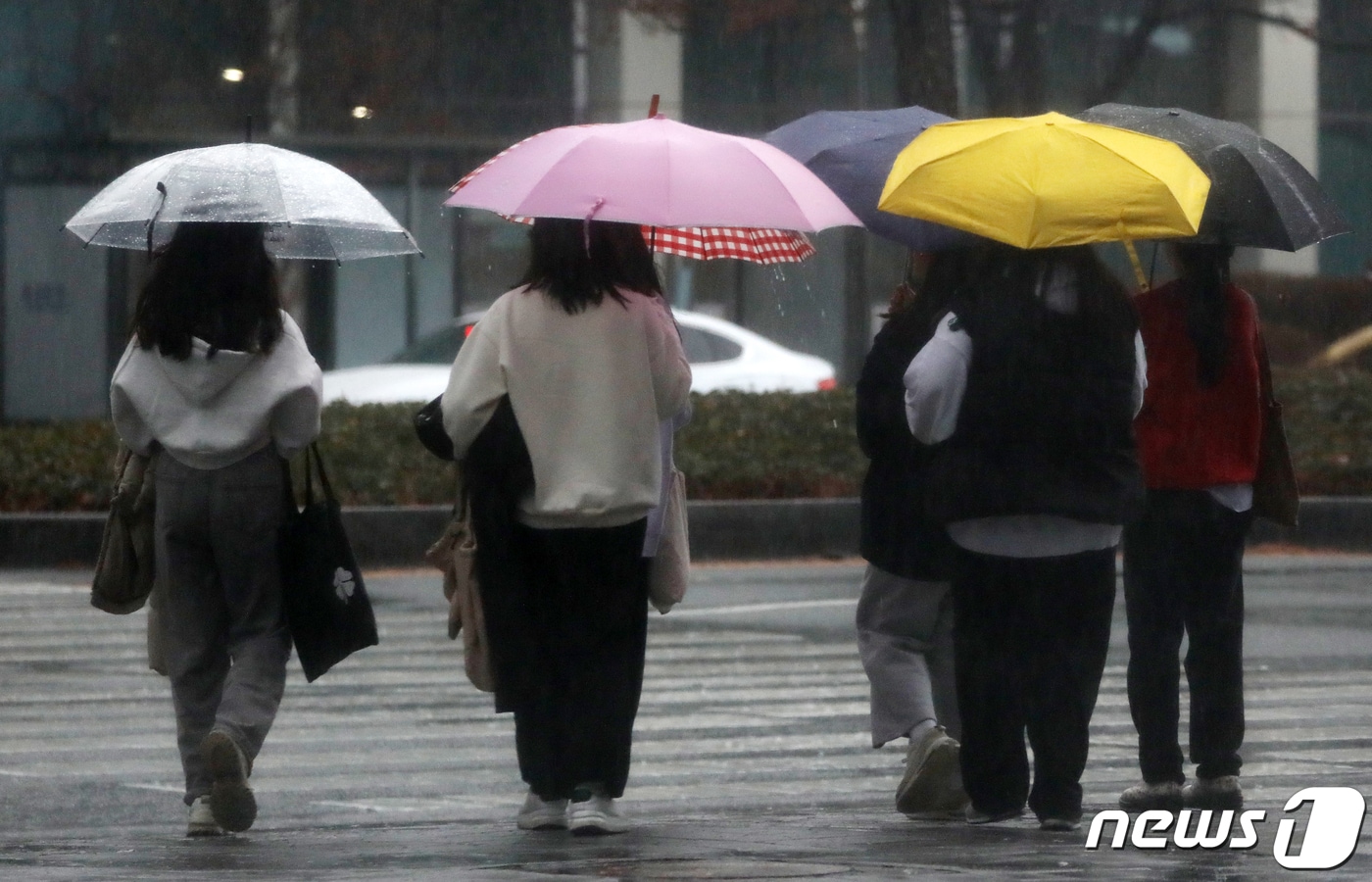 부산 해운대구 벡스코 인근에서 우산을 쓴 시민들이 발걸음을 옮기고 있다. 2023.12.11/뉴스1 ⓒ News1 윤일지 기자