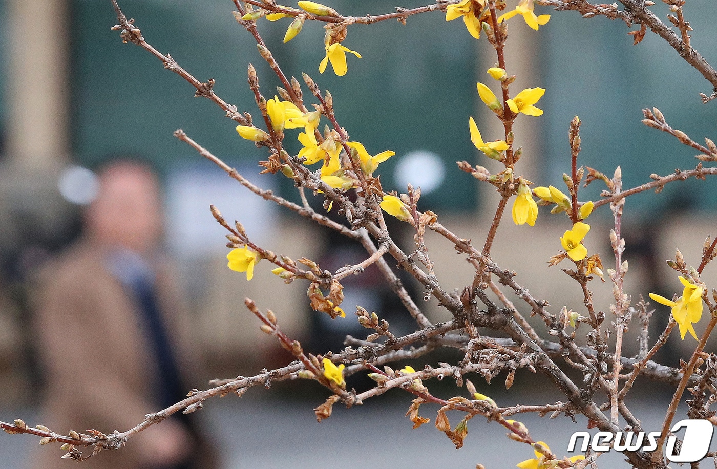 가장 눈이 많이 내린다는 절기상 대설&#40;大雪&#41;인 7일 충북·세종은 구름 많고 춥겠다.&#40;사진은 기사 내용과 무관함&#41; /뉴스1