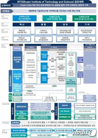 부산지역혁신플랫폼 대학교육혁신 추진방안(부산시청 제공)