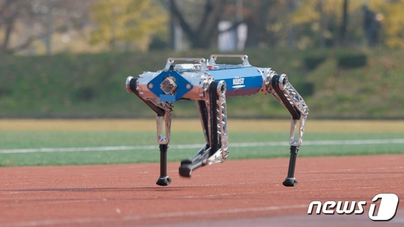 사족 로봇 ‘하운드’가 육상 트랙 위에서 100m 달리기를 하고 있다.&#40;KAIST 제공&#41;/뉴스1