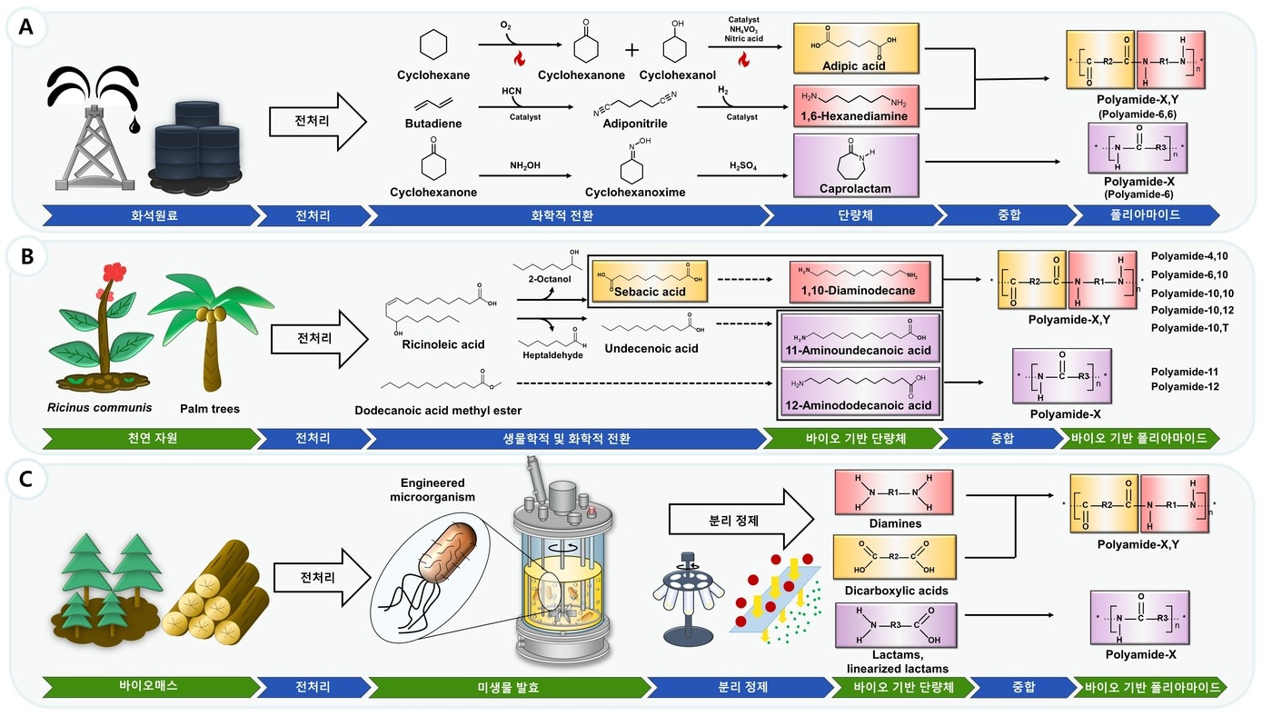 바이오 기반 폴리아마이드 생산 모식도.&#40;KAIST 제공&#41;/뉴스1