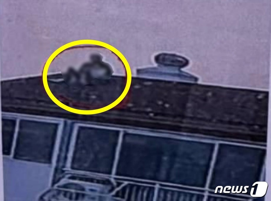 (온라인 커뮤니티 갈무리)