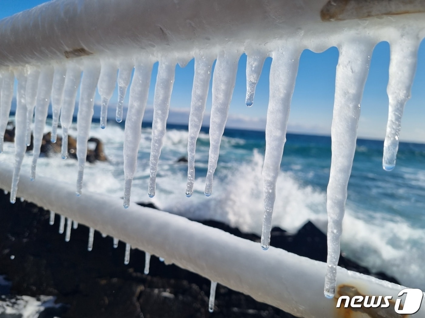 바다와 고드름.(뉴스1 DB)ⓒ News1 윤왕근 기자