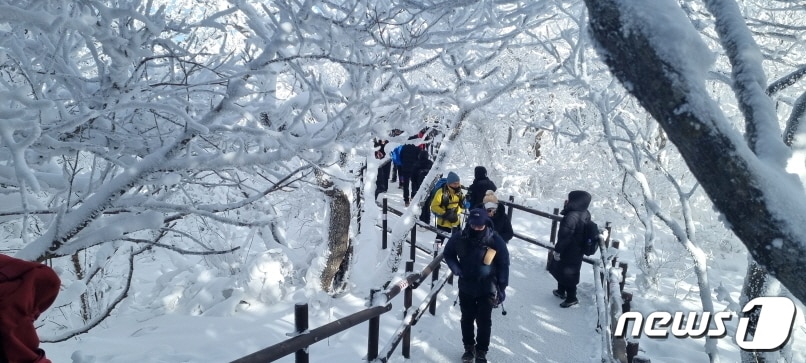 23일 전북 무주군 덕유산을 찾은 등산객들이 상고대들이 만들어낸 아름다운 설경을 보며 산을 오르고 있다. 2023.12.23/뉴스1 ⓒ News1 김동규 기자