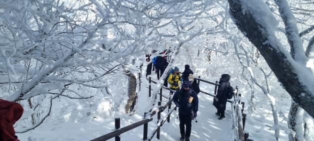 23일 전북 무주군 덕유산을 찾은 등산객들이 상고대들이 만들어낸 아름다운 설경을 보며 산을 오르고 있다. 2023.12.23/뉴스1 ⓒ News1 김동규 기자