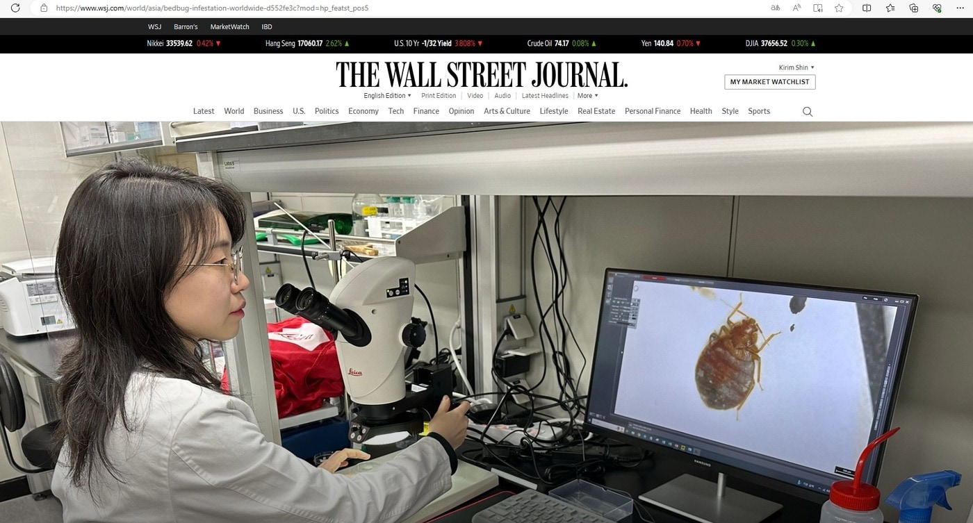  빈대 연구중인 서울대 김주현 교수&#40;월스트리트저널 웹사이트 갈무리&#41;