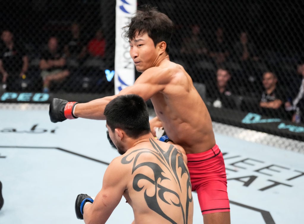 '코리안 타이거' 이정영, UFC 데뷔…내년 2월 빌더와 격돌 - 뉴스1