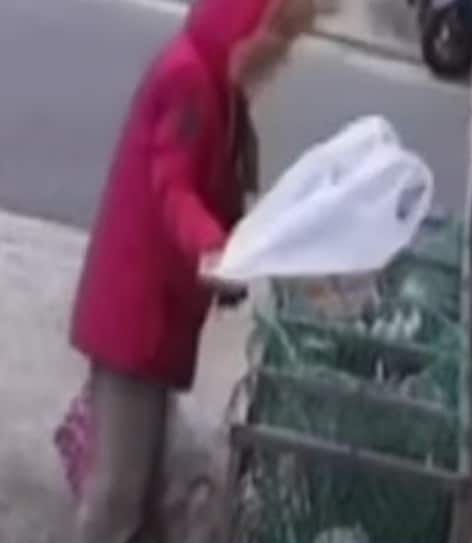 (JTBC '사건반장' 갈무리)