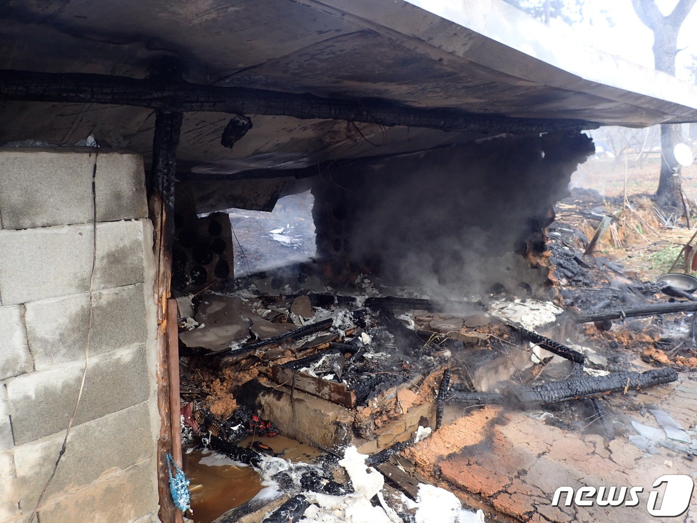 6일 발생한 부산 기장군 장안읍 인근 야산 화재 현장(부산소방재난본부 제공)