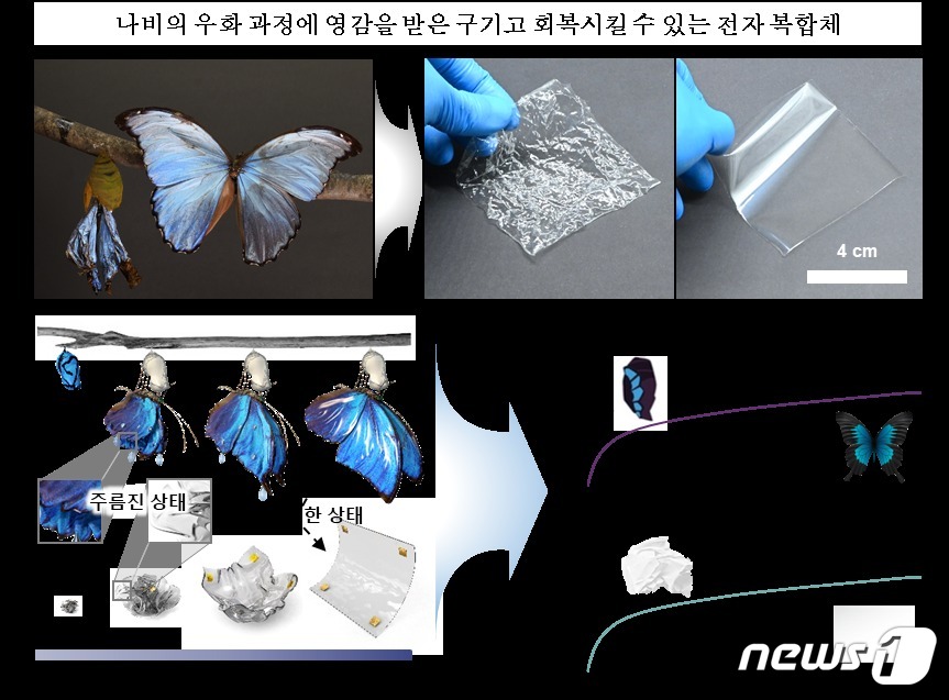 제작된 전자 장치.(아주대 제공)/뉴스1