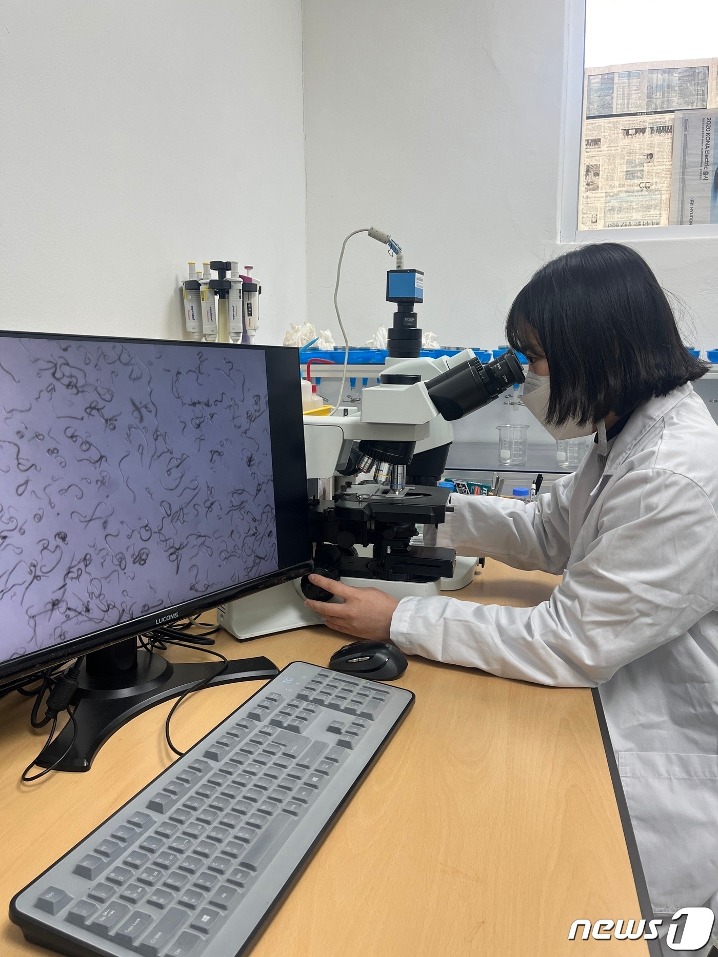 북부지방산림청 재선충병 검경실 자료사진. (북부지방산림청 제공) 2023.2.1/뉴스청