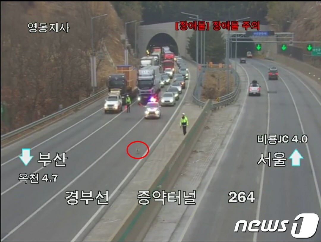 9일 오후 5시5분쯤 유기견 한 마리가 경부고속도로에 출몰해 경찰과 한국도로공사 관계자가 구출하고 있는 모습.(한국도로공사 대전충남본부 제공) /2023.02.10./뉴스1