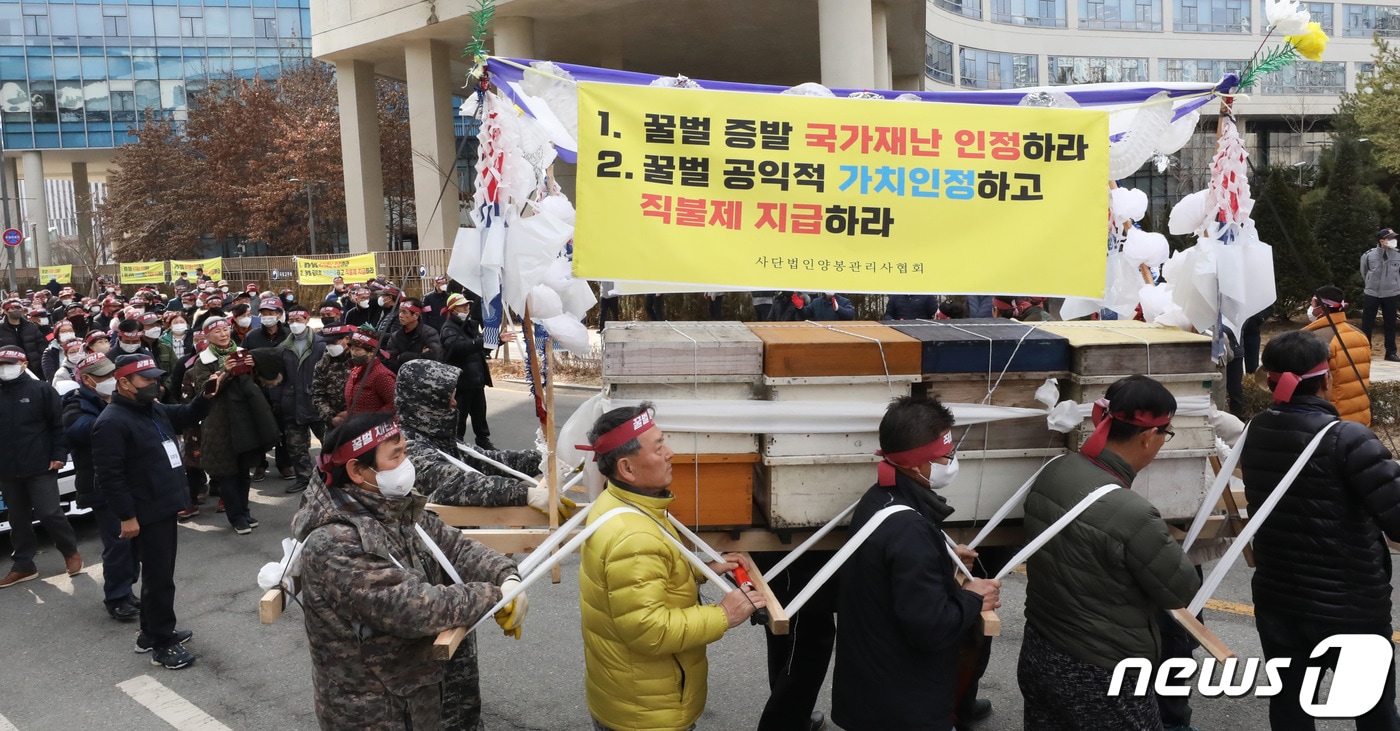 국내 최대 양봉 지역인 경북에서 꿀벌 대량 폐사가 이어지고 있다. 사진은 2월5일 오후 세종시 정부세종청사 농림축산식품부 앞에서 열린 전국 양봉인 총궐기대회에 참가한 양봉 농민들이 꿀벌폐사 농업재해 인정 및 농업재해보험 상품개발 추진, 꿀벌 병해충의 법정전염병 지정, 농식품부 내 양봉전담부서 신설, 꿀벌 공익적 가치 인정 및 직불금 지급을 정부에 요구하며 벌통을 얹은 상여를 메고 행진하는 모습. 2023.2.15/뉴스1 ⓒ News1 자료 사진