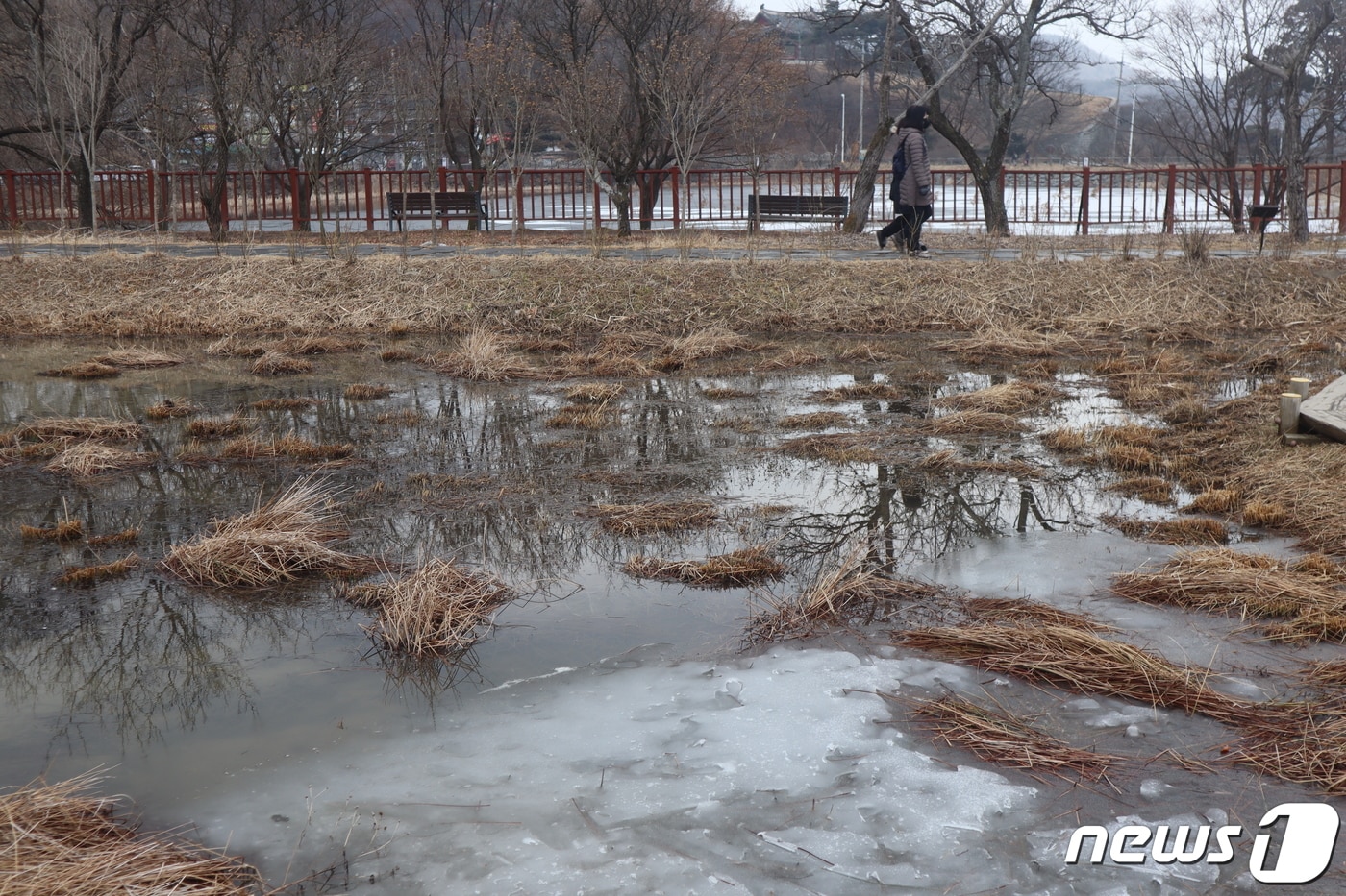 자료사진. ⓒ News1 박건영 기자