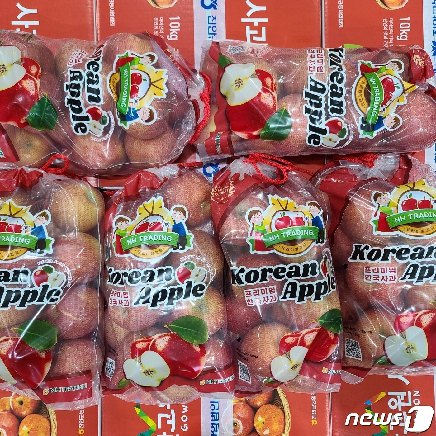 21일 전북 진안군은 21일 전북농협이 주관하고 진안‧무주‧장수조합공동사업법인이 참여하는 수출 판촉행사를 위해 ‘진안고원 부사 사과’ 선적식을 가졌다.(진안군제공)2023.2.21/뉴스1