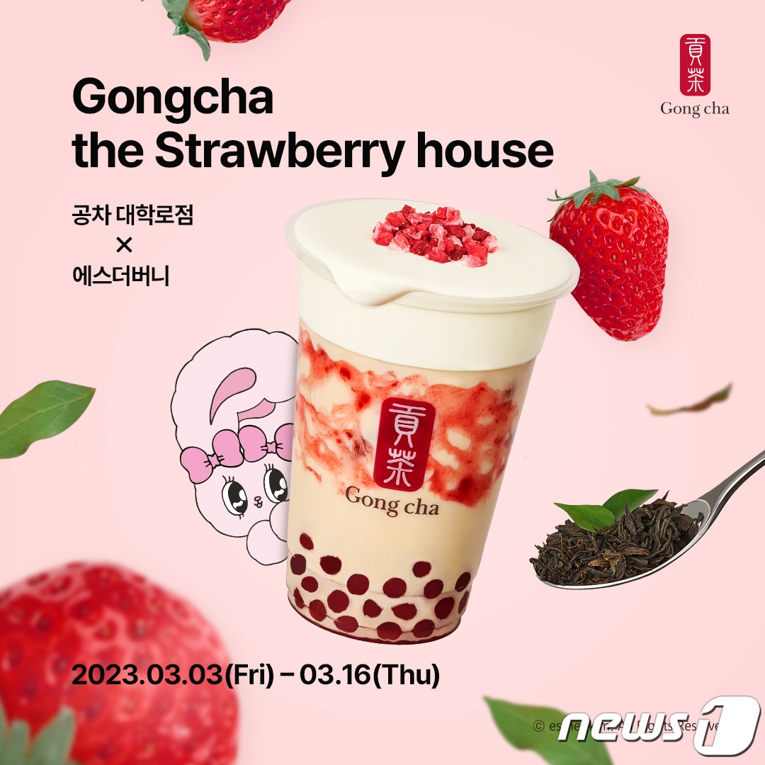 (공차코리아 제공)