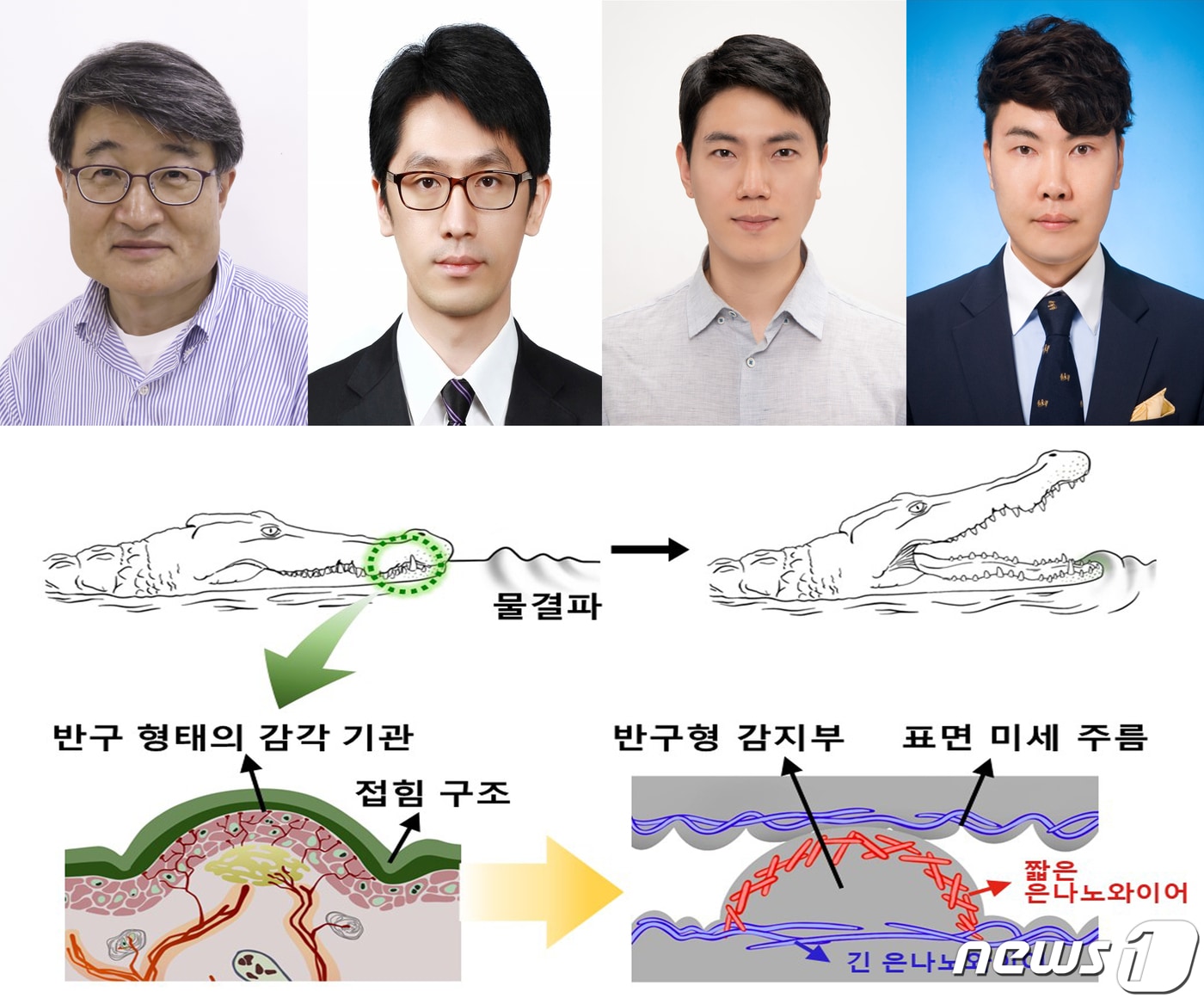 포스텍&#40;포항공대 총장 김무환&#41; 연구팀이 울산대학교 연구팀과 공동으로 압력센서에 마이크로돔 구조와 주름진 표면 구조를 도입, 여러 방향에서 신축 가능한 압력센서를 개발했다. 왼쪽부터 포스텍 조길현 교수, 울산대 조승구 교수, 포스텍 손종현, 이기원 박사.&#40;포스텍제공&#41;2023.2.28/뉴스1  