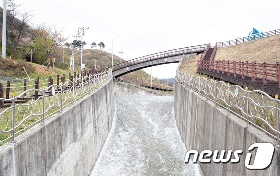  증평 삼기저수지 통수식. / 뉴스1 