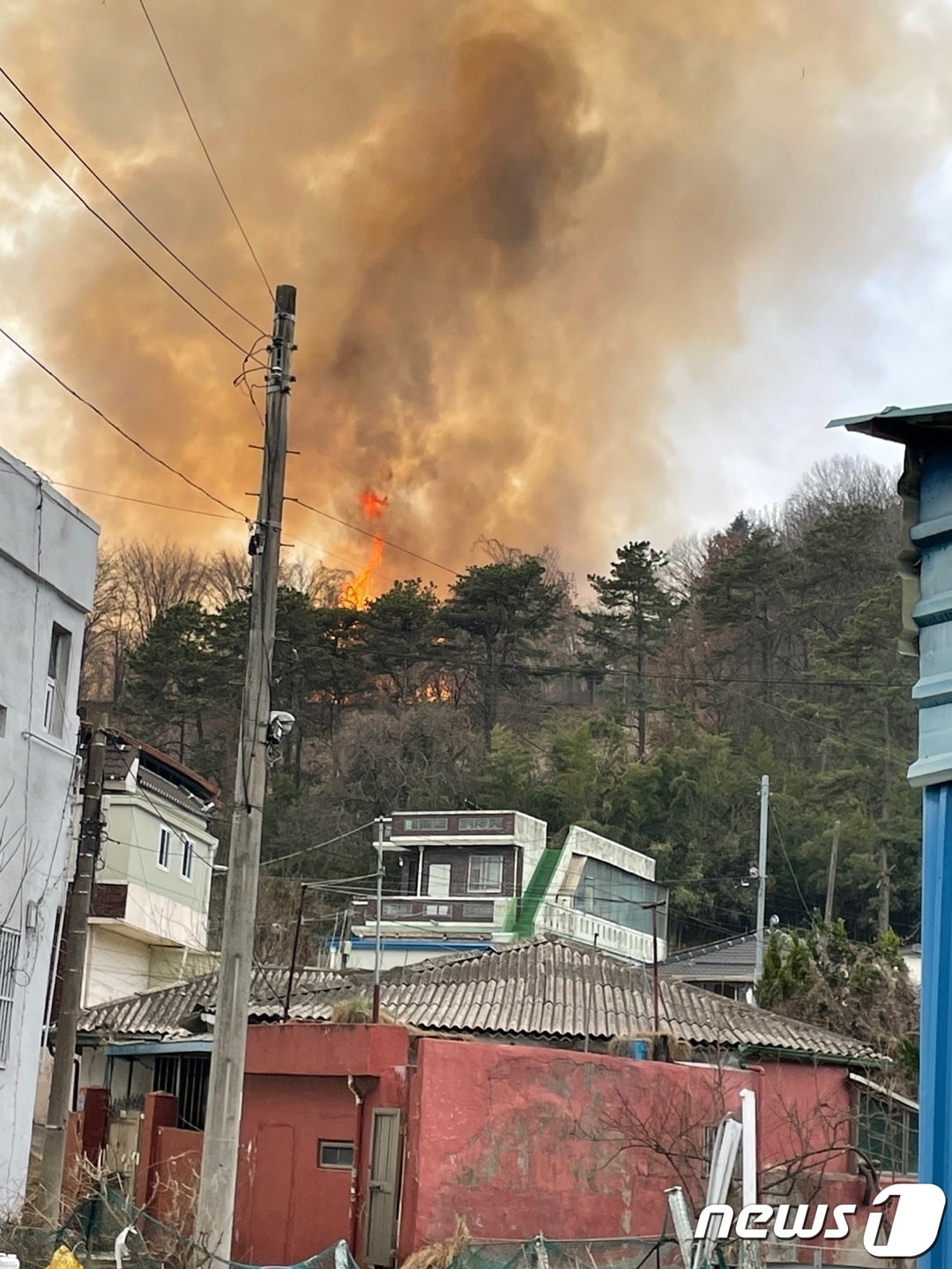 11일 오후 3시55분쯤 광주 북구 동림동 운암산에서 화재가 발생해 소방 당국이 진화에 나섰다.(광주 북구 제공)2023.3.11/뉴스1