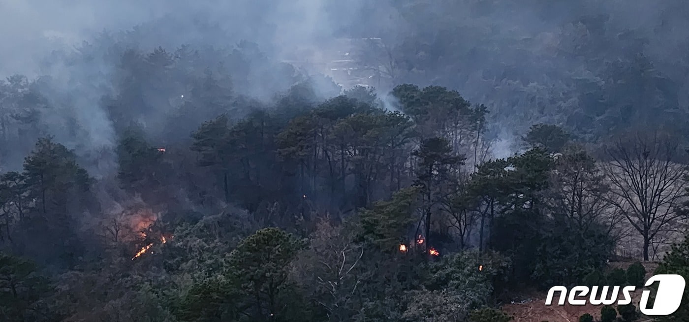 11일 오후 광주 북구 동림동 운암산에서 불이 나 소방대원과 지자체 공무원 등 300여명이 진화에 나섰다.2023.3.11./뉴스1