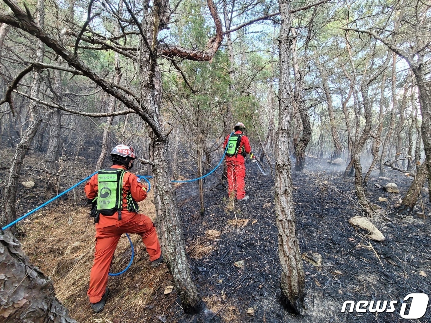 18일 오후 2시8분쯤 충북 영동군 심천면 한 야산에서 불이 나 산림·소방당국이 진화작업을 벌이고 있다.&#40;산림청 제공&#41;/2023.03.18./뉴스1