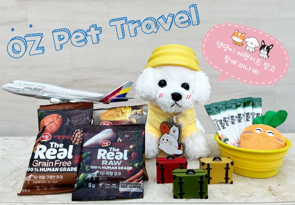 아시아나 오즈 팻 트래블(아시아나항공 제공)