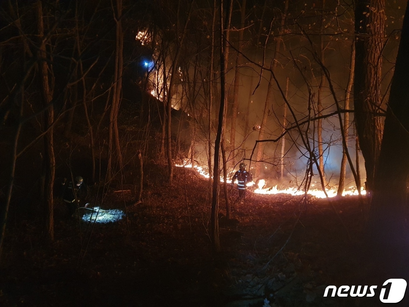 22일 오전 1시10분쯤 충북 제천시 백운면 박달재자연휴양림에서 불이 나 산림당국이 진화작업 중이다.&#40;산림청 제공&#41;/2023.03.22./뉴스1