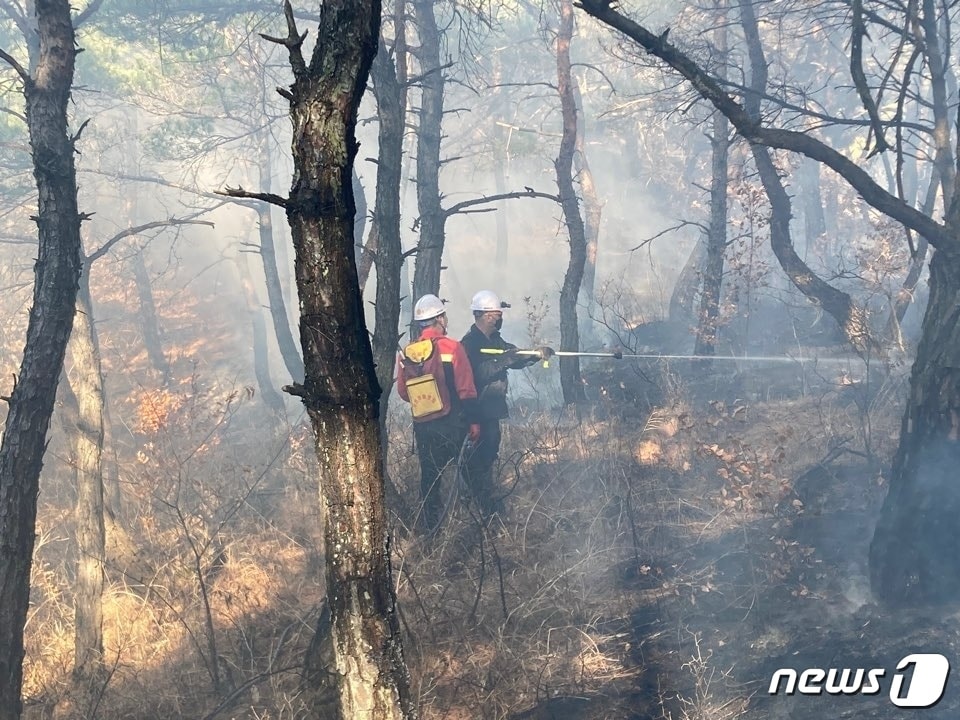 충남 태안 산불 잔불 진화 모습