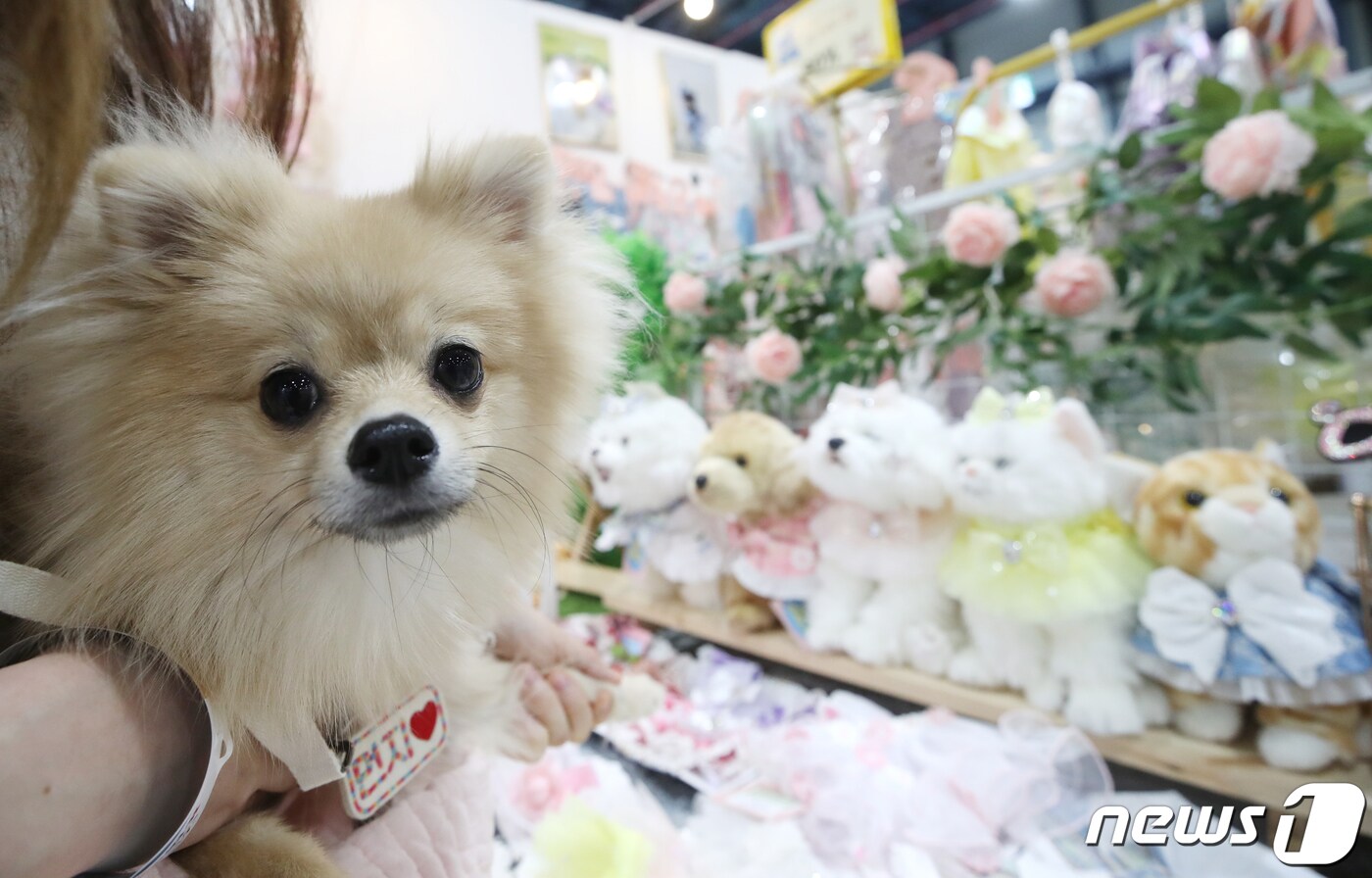 지난달 24일 서울 강남구 세텍(SETEC)에서 서울 국내 최대 규모의 반려동물 박람회 '2023 케이펫페어'에서 관람객들이 반려동물과 함께 제품들을 고르고 있다. 2023.3.24/뉴스1 ⓒ News1 권현진 기자