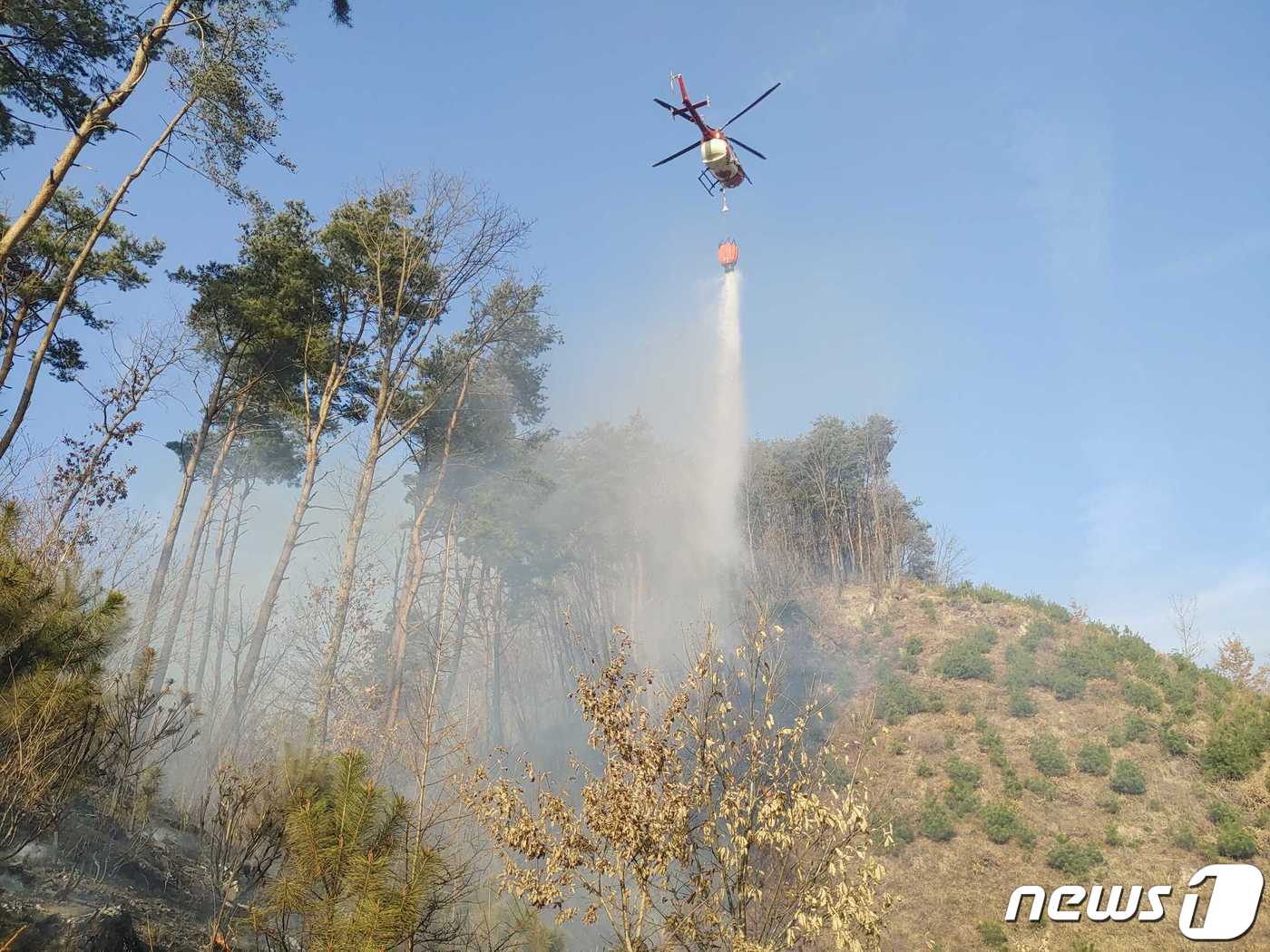 강원 횡성군 청일면 신대리 산불 현장.(뉴스1 DB)