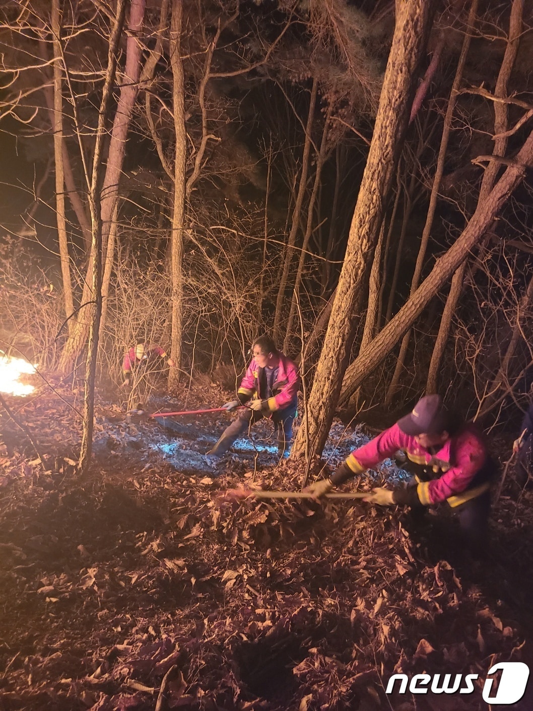 제천 봉황산 산불. / 뉴스1 