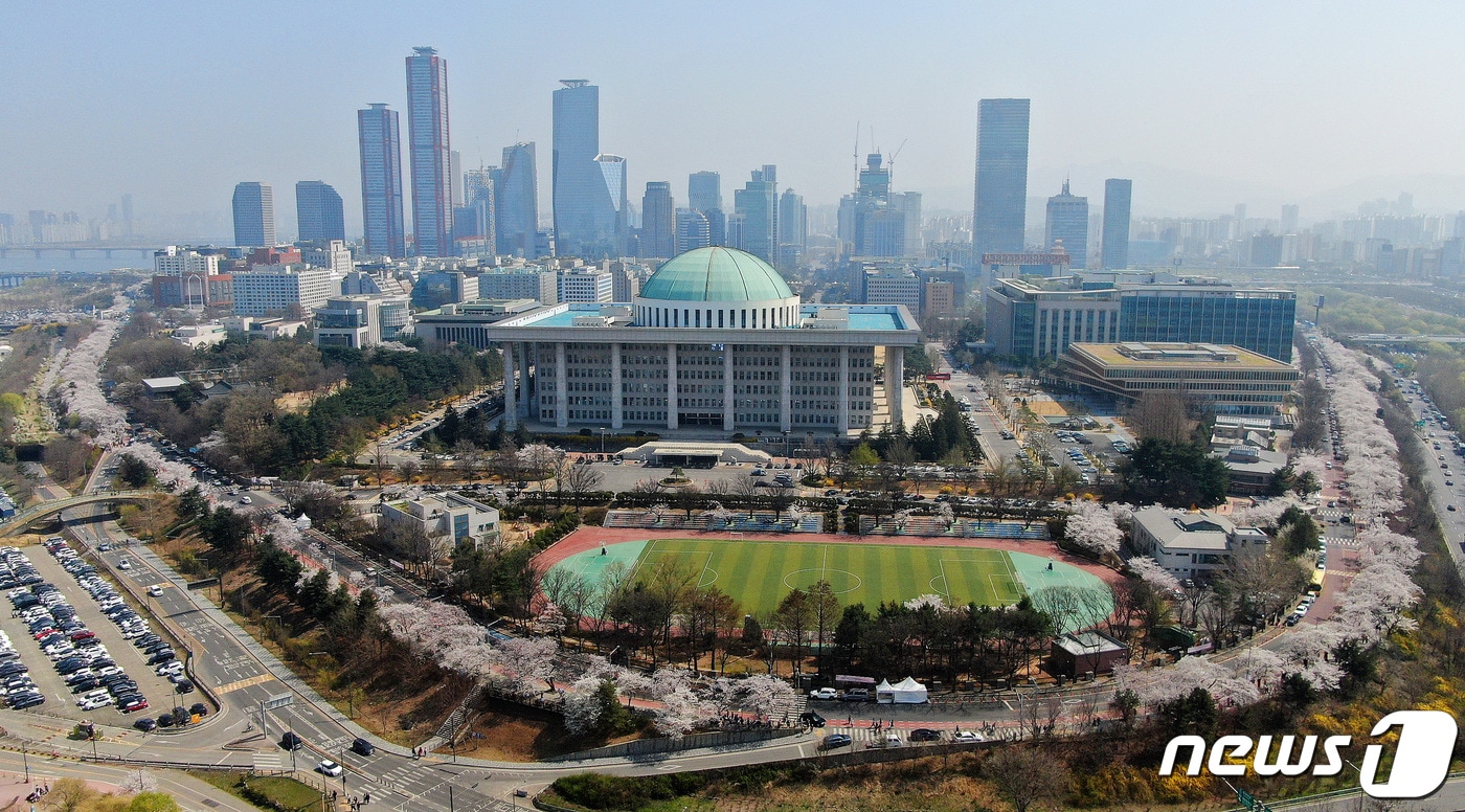 서울 여의도 국회 뒤편 여의서로에 벚꽃이 활짝피어 있다./뉴스1 ⓒ News1 김진환 기자