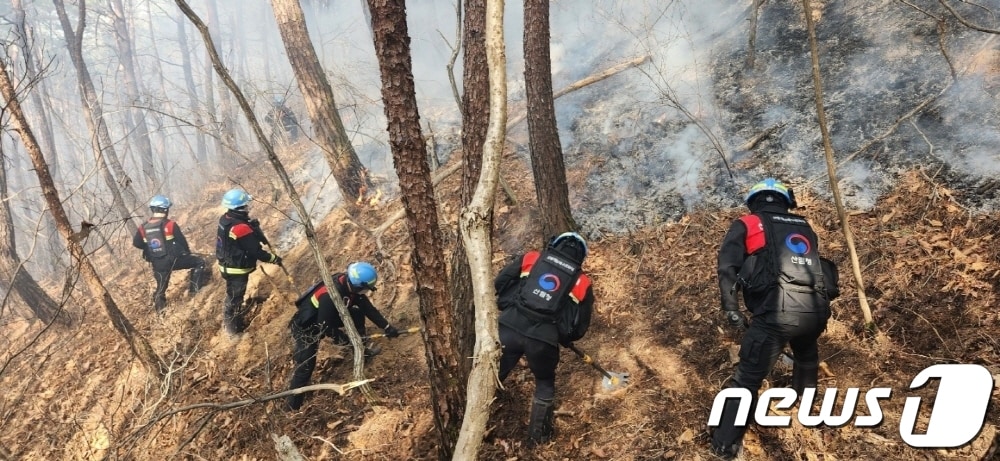 31일 낮 12시10분쯤 경북 경주시 강동면 한 야산에서 불이 나 산림당국이 진화 중이다.&#40;산림청 제공&#41;/뉴스1