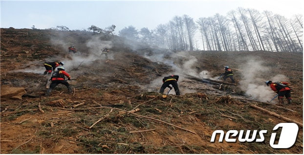 영양 산불 현장서 진화작업중인 산림청 산불진화대원들&#40;산림청 제공&#41; 2023..3.4/뉴스1