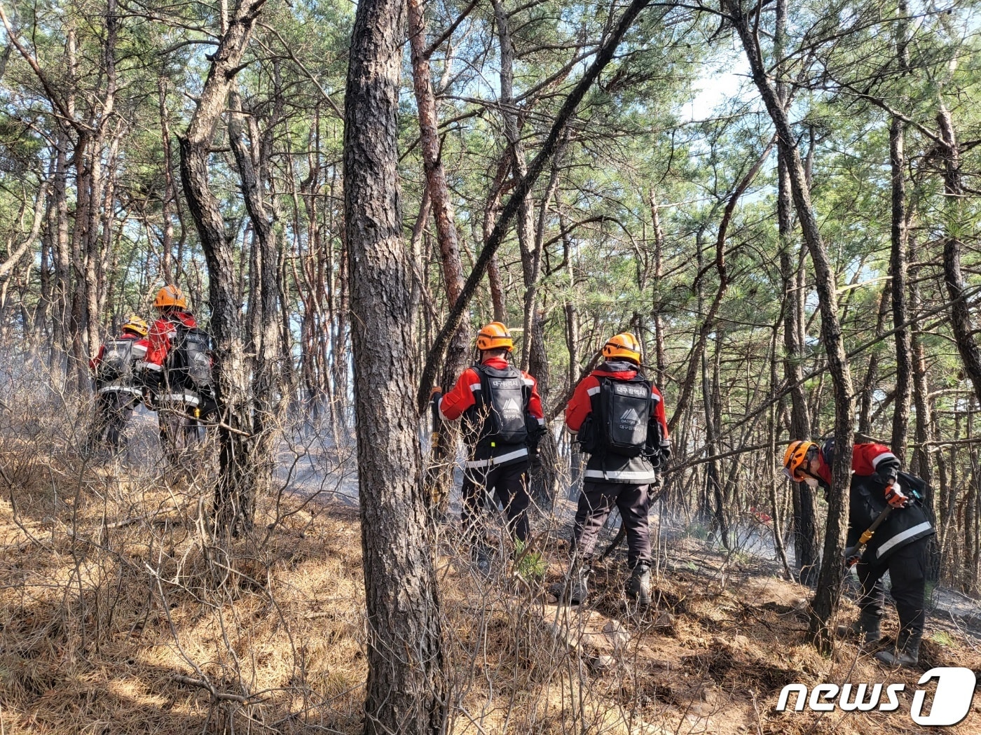 8일 오후 2시20분쯤 대구 북구 조야동 망일봉에서 원인을 알 수 없는 산불이 나 소방과 산림당국이 진화 중이다.&#40;대구소방안전본부 제공&#41;/뉴스1