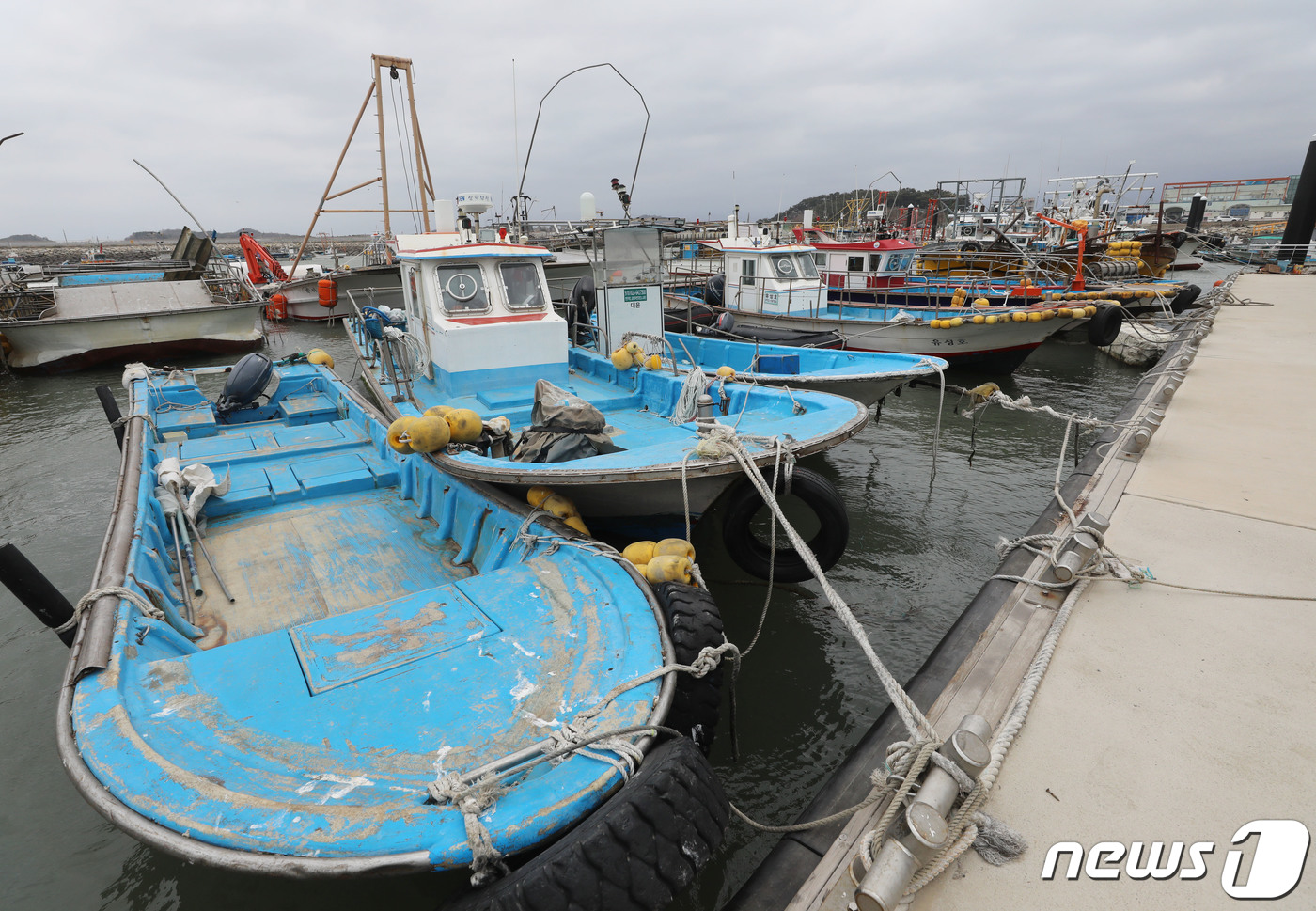 강풍주의보로 발 묶인 어선들(사진은 기사 내용과 무관함) / 뉴스1 ⓒ News1