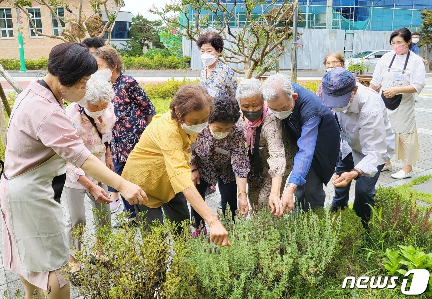  전북 정읍시치매안심센터가 이달 19일부터 7월5일까지 매주 수요일 경증 치매 어르신을 대상으로 텃밭 가꾸기 프로그램을 운영한다. &#40;정읍시 제공&#41;2023.4.19/뉴스1