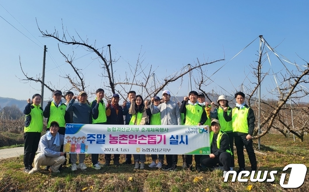 농협괴산군지부 직원들이 지난 1일 충북 괴산군 불정면 모촌마을에서 일손돕기 행사를 했다.&#40;농협괴산군지부 제공&#41; / 뉴스1