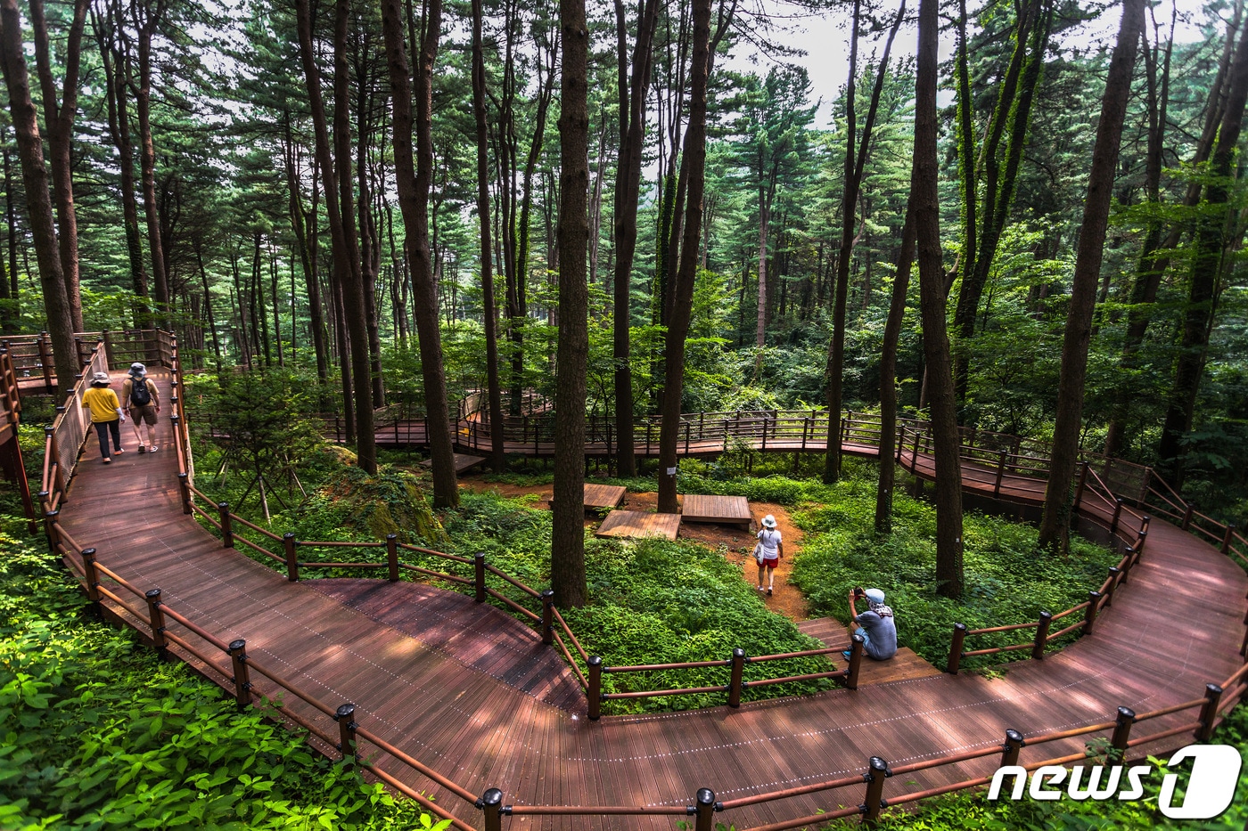 숲길 힐링_박윤준(녹색자금 사진공모전 수상작)