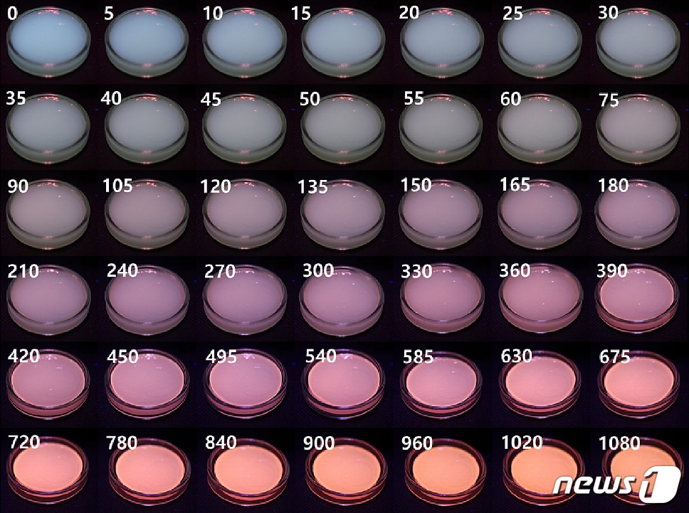 자외선 조사 시간에 따른 필름 색 변화.(부경대학교 제공)