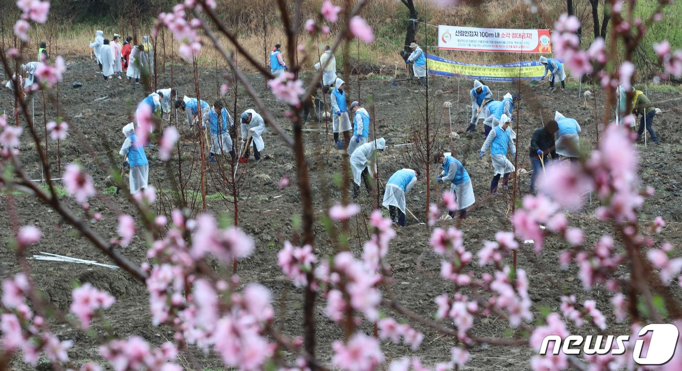 10일 대전·충남엔 아침까지 강풍을 동반한 비가 내릴 것으로 예보됐다. 대전 동구 직동 일원에서 열린 나무심기 행사에서 참가자들이 나무를 심고 있다.  ⓒ 뉴스1 김기태 기자